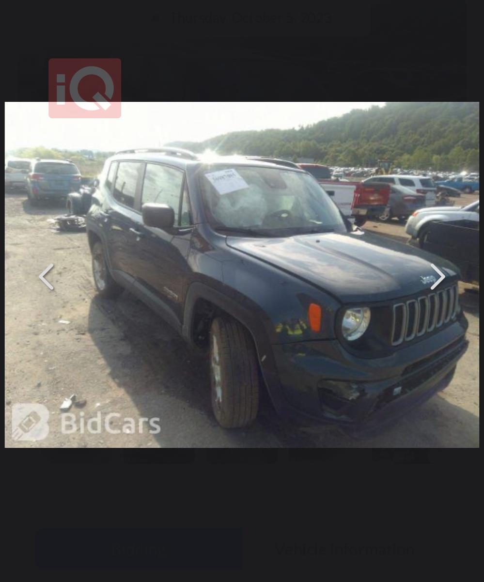 جيب رينيجيد